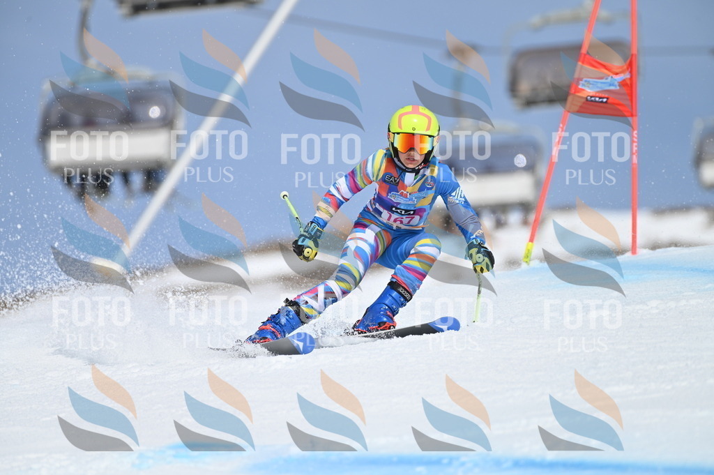 BGV_0373 | holidayphoto