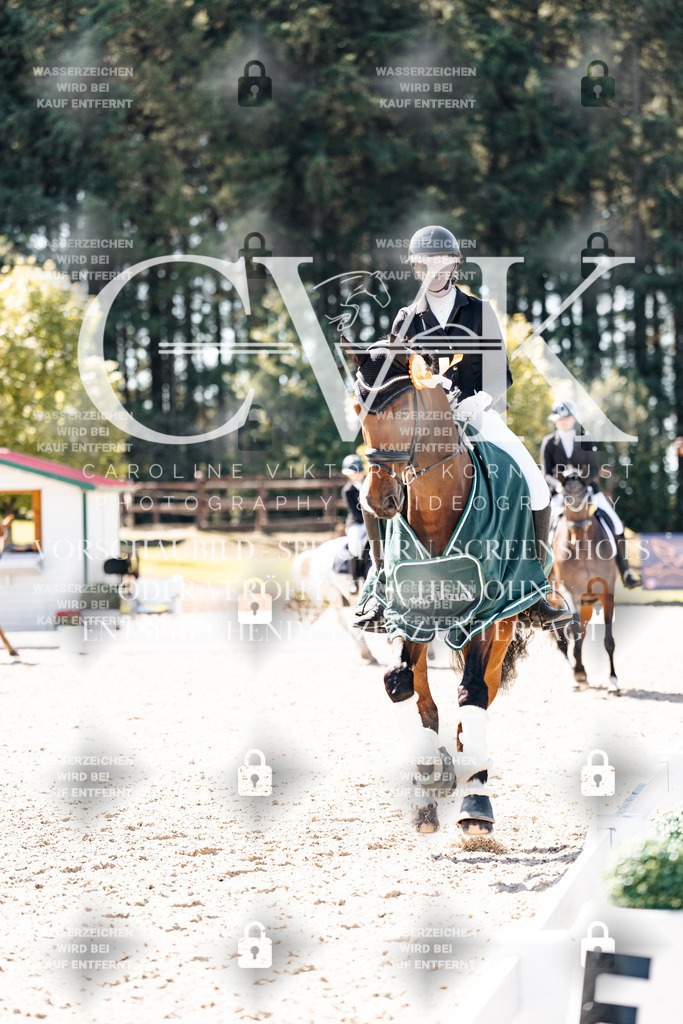 CK904263 | Turnierfotografie Pferdefotografie Trier Rheinland-Pfalz Pferdesport Reitsport Tierfotografie Sportfotografie Pferdevideo Pferdevideografie Equestrianvideography equestrianphotography  - Realisiert mit Pictrs.com