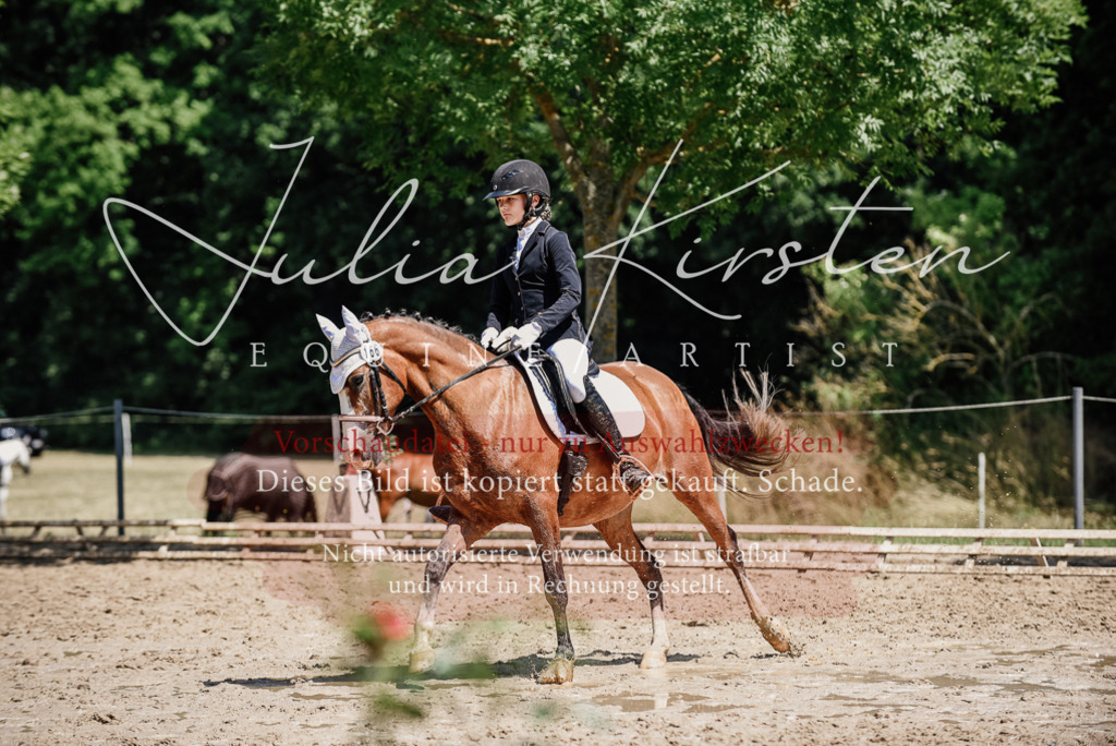 DSC_1957 | Pferde- und Turnierfotografie in Westsachsen. Pferdeportraits, Auftragszeichnungen und intuitive Kunst.