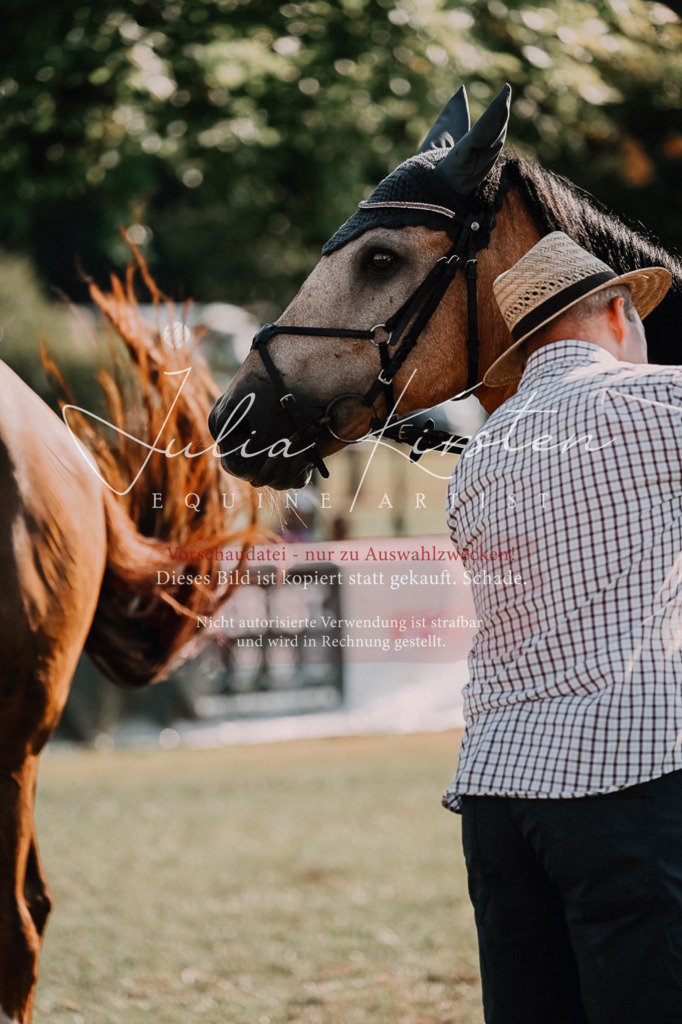 DSC_4910 | Pferde- und Turnierfotografie in Westsachsen. Pferdeportraits, Auftragszeichnungen und intuitive Kunst.