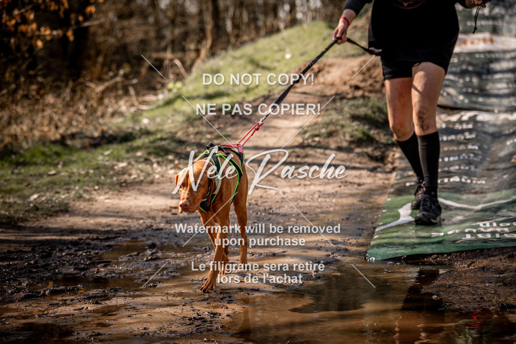 nelerasche_Hulsbeek_So1200-1230_270 | nelerasche