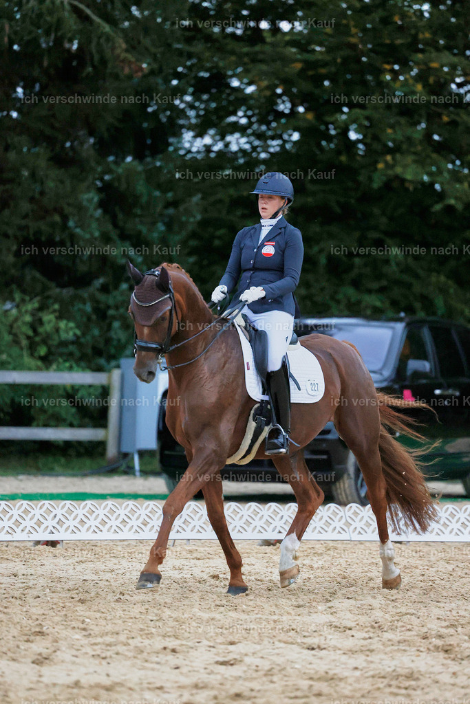 04_2-227-Dressur M__ -StoibPH-3006 | working equitationturnier fotograf videograf stoibphotography marixx film working equitation deutschland reitsport turnierfotografie eventfotografie equestrian events