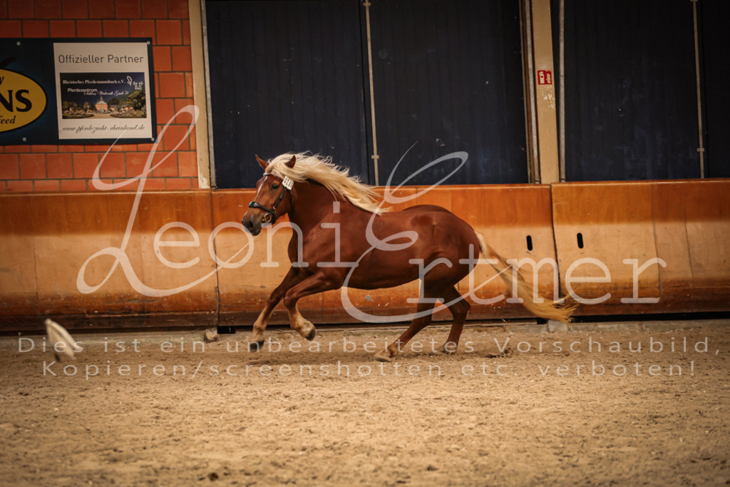 SaFL00504 | Leoni Ertmer Photography - Realisiert mit Pictrs.com