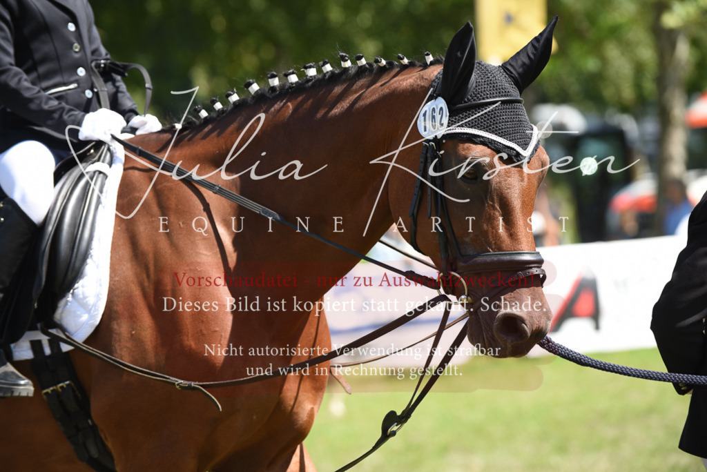 DSC_9766 | Pferde- und Turnierfotografie in Westsachsen. Pferdeportraits, Auftragszeichnungen und intuitive Kunst.