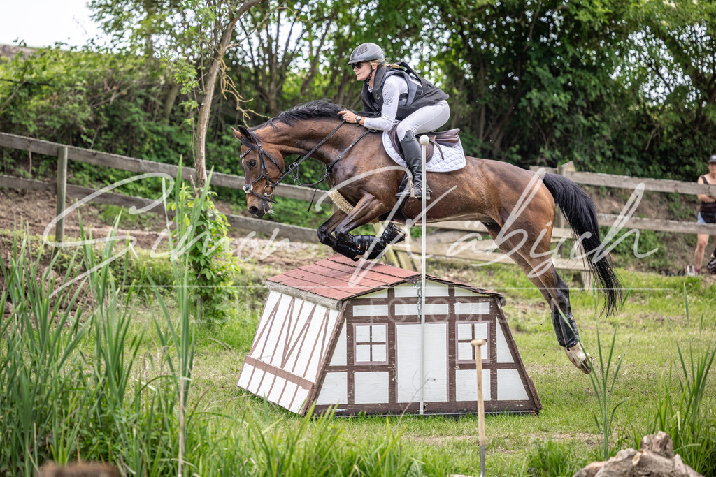 20260523-_3LI9711 | Tierfotografie Pferde, Hunde, Katzen, Haustiere.
Turnierfotografie Reitturniere, Reiten, Springreiten, Dressur in Hanau, dem Main-Kinzig-Kreis und dem Rhein-Main- Gebiet um Frankfurt