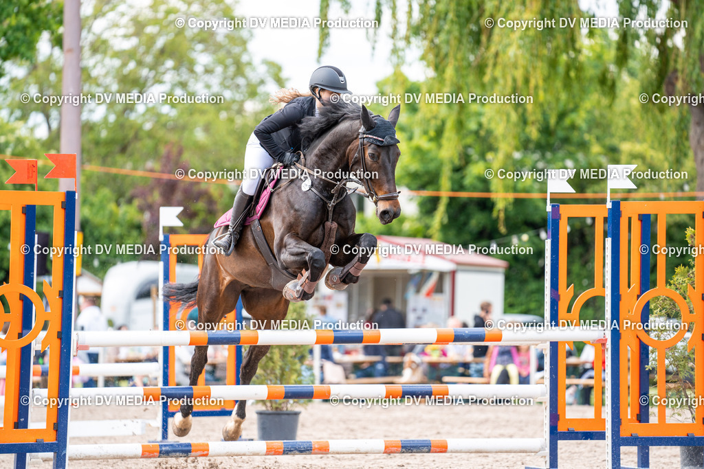 Eppelheim Tag 2-546 | dv-media-shop - Realisiert mit Pictrs.com