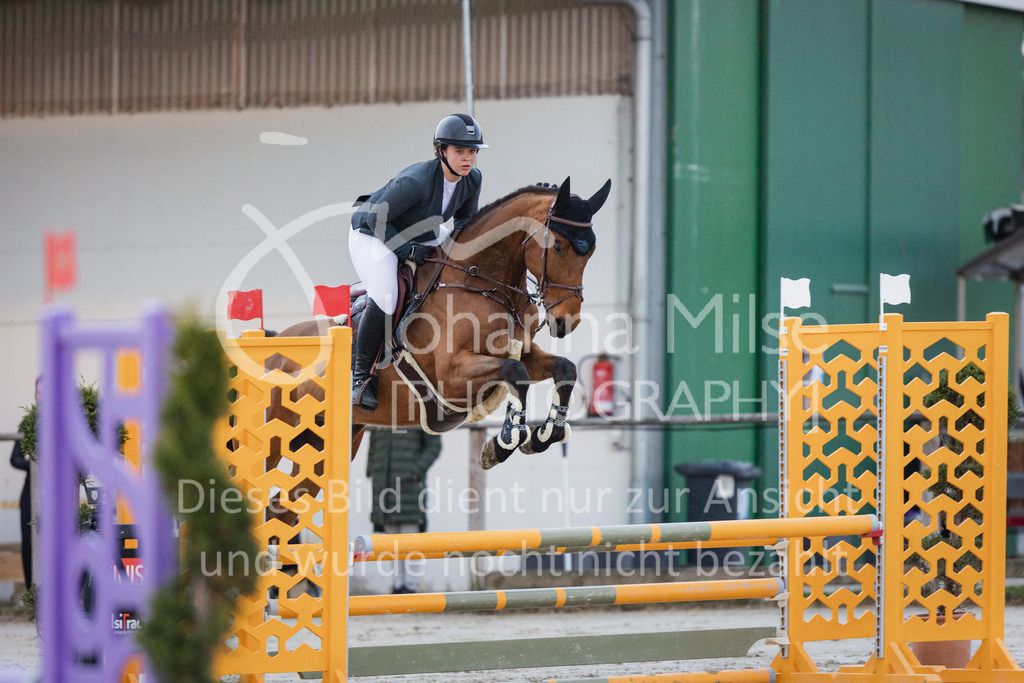 230408_Frühlingsfest_Stil-A1-406 | Deine schönsten Turniermomente als professionelle Fotos! Entdecke hochwertige Pferdesport-Fotografie im Online-Shop. Jetzt Fotos finden & bestellen!