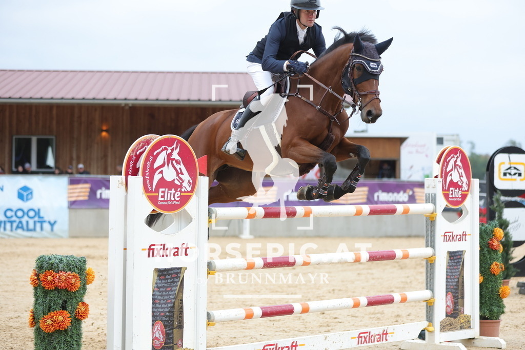 0P6A4517 | Willkommen bei Brunnmayr - Design & Fotografie – Ihrem Spezialisten für Reitturniere und Pferdeveranstaltungen in Oberösterreich, Salzburg und Bayern! Seit über 17 Jahren sind wir leidenschaftlich dabei.