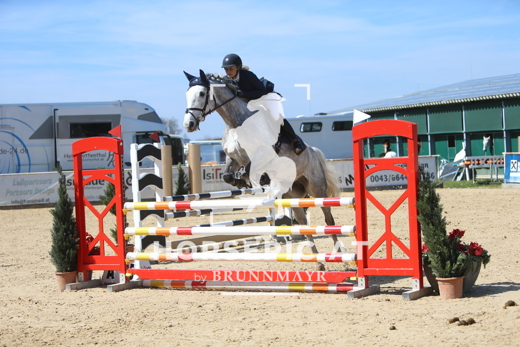 DL2Q0220 | Willkommen bei Brunnmayr - Design & Fotografie – Ihrem Spezialisten für Reitturniere und Pferdeveranstaltungen in Oberösterreich, Salzburg und Bayern! Seit über 17 Jahren sind wir leidenschaftlich dabei.