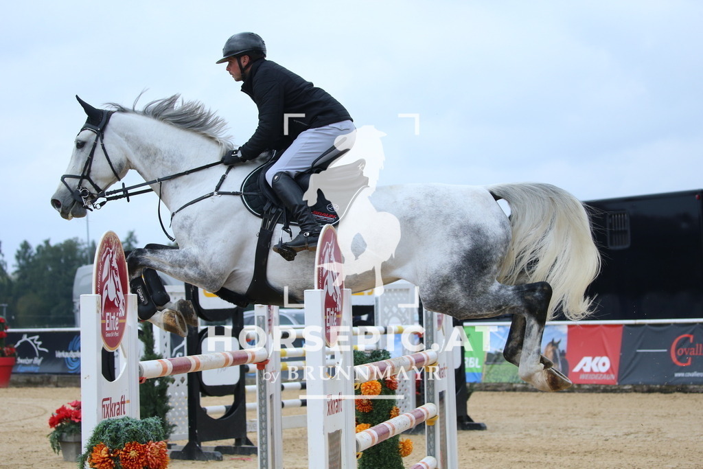 DL2Q2692 | Willkommen bei Brunnmayr - Design & Fotografie – Ihrem Spezialisten für Reitturniere und Pferdeveranstaltungen in Oberösterreich, Salzburg und Bayern! Seit über 17 Jahren sind wir leidenschaftlich dabei.