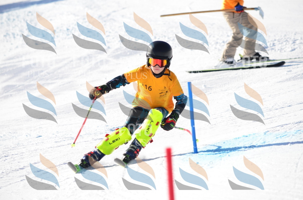 C6319 | holidayphoto