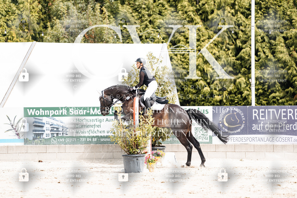 CK906657 | Turnierfotografie Pferdefotografie Trier Rheinland-Pfalz Pferdesport Reitsport Tierfotografie Sportfotografie Pferdevideo Pferdevideografie Equestrianvideography equestrianphotography  - Realisiert mit Pictrs.com