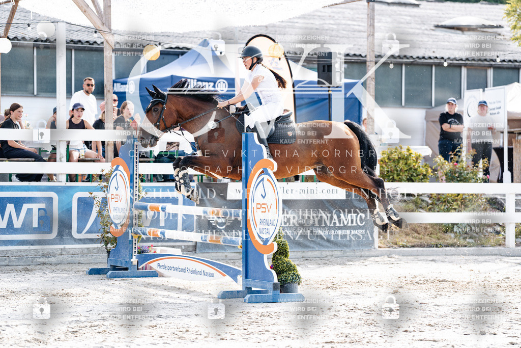 CK905889 | Turnierfotografie Pferdefotografie Trier Rheinland-Pfalz Pferdesport Reitsport Tierfotografie Sportfotografie Pferdevideo Pferdevideografie Equestrianvideography equestrianphotography  - Realisiert mit Pictrs.com