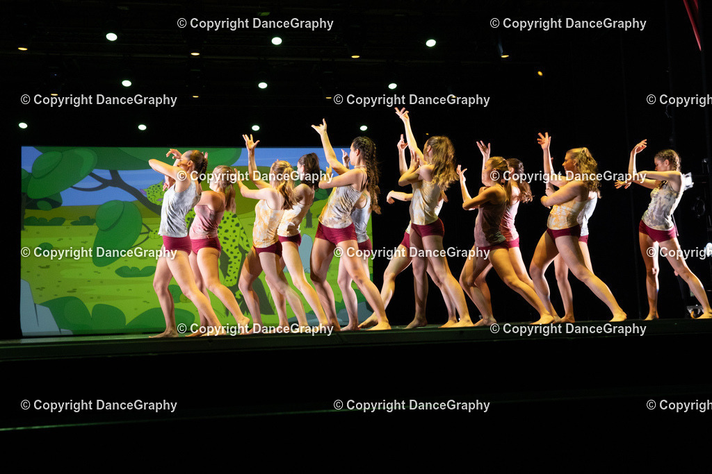 GPHY6355 | DanceGraphy - Realisiert mit Pictrs.com