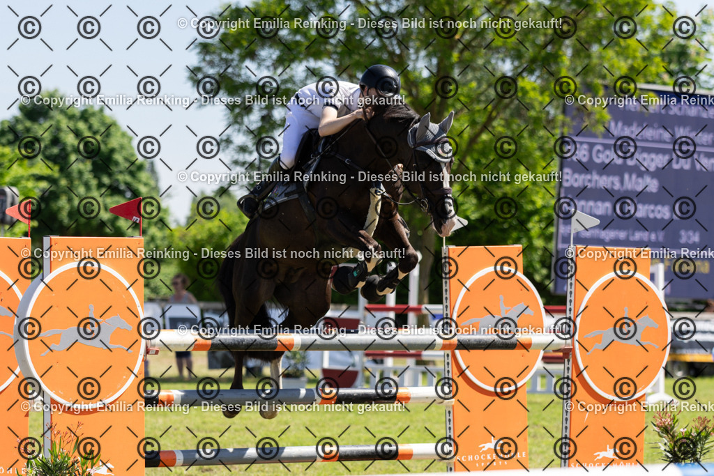 CL5A1125 | Emilia Reinking Fotografie - Realisiert mit Pictrs.com