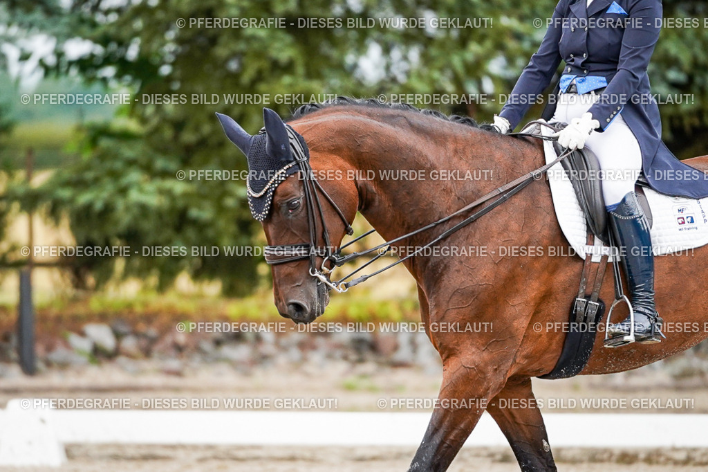 DSC00088 | Pferdegrafie