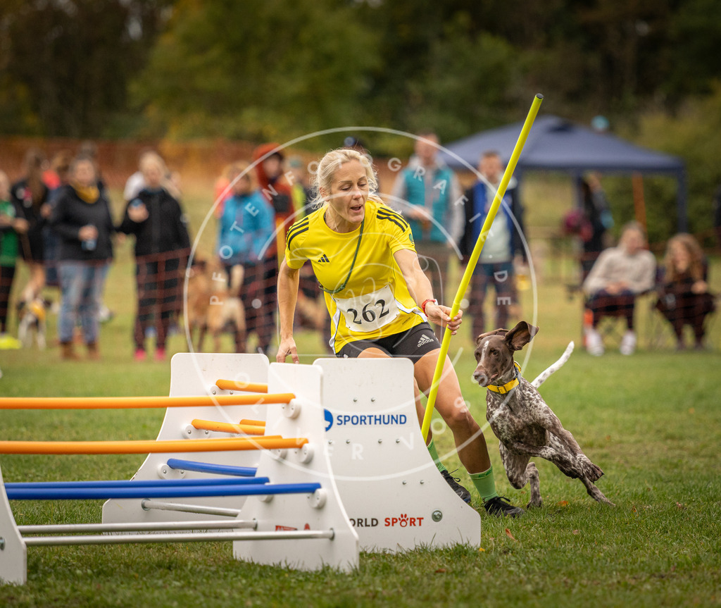 Pfotenfotografie_DV3A6836 | Hundefotografie, Tierfotograf, Pfotenfotografie, Fotoshooting Hund, Hunde Portrait, Hundesport, Hundeportraits, Heideshooting, Hunde, Sportfotograf, Hundefotograf, Turnierhundsport, THS,  - Realisiert mit Pictrs.com