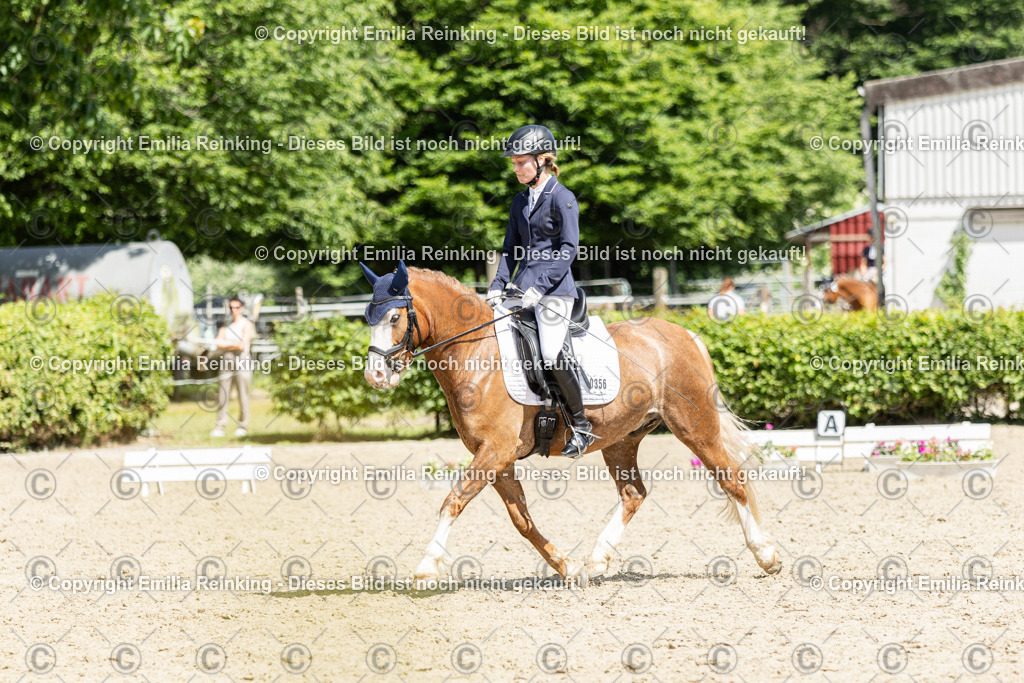 CL5A0435 | Emilia Reinking Fotografie - Realisiert mit Pictrs.com