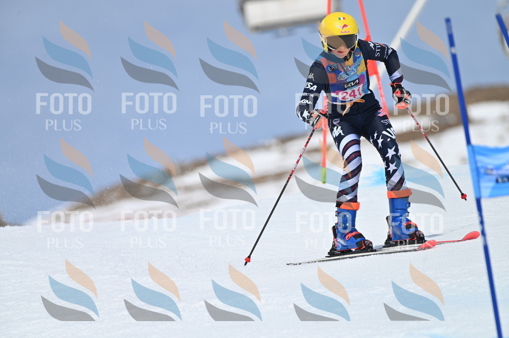 BGV_1716 | holidayphoto