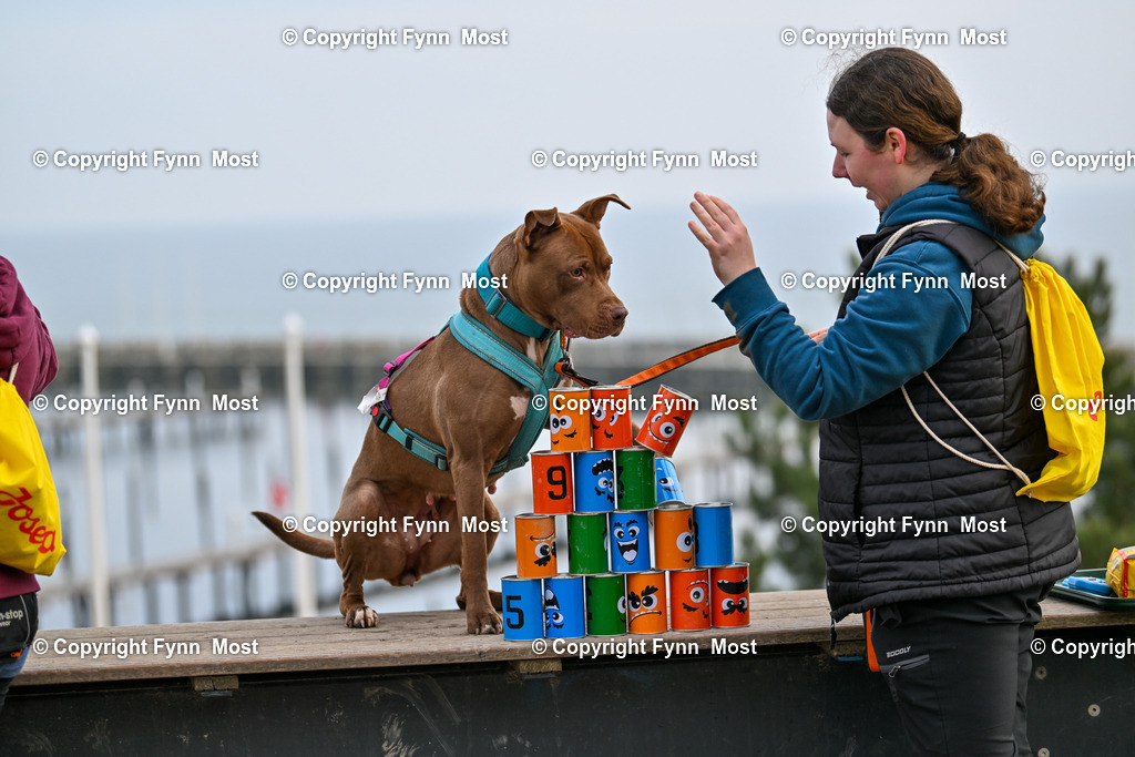 DSC_5577 | Hallo und herzlich Willkommen auf meiner Shop-Seite Fynn Most.

Ich wünsche Dir viel Spaß beim stöbern durch die Bilder, wenn Du Fragen hast oder Bilder vermisst, kannst du mir gerne eine Nachricht schreiben. - Realisiert mit Pictrs.com