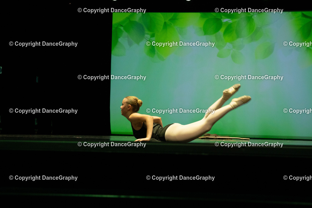 GPHY6833 | DanceGraphy - Realisiert mit Pictrs.com