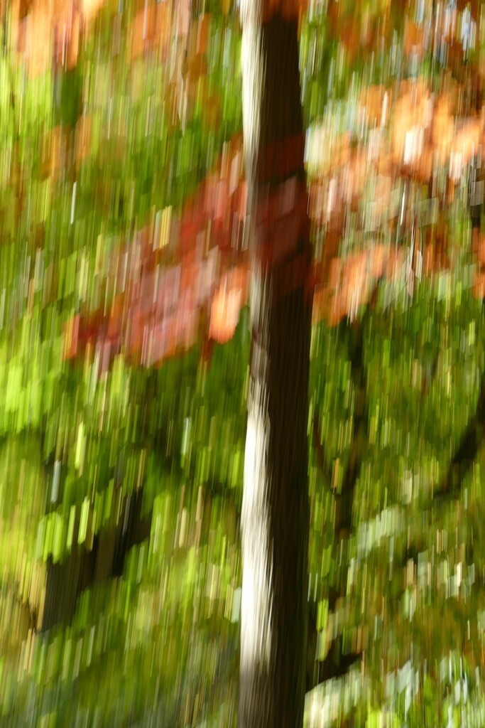 P4030875_a | Annaeherungen - Realisiert mit Pictrs.com