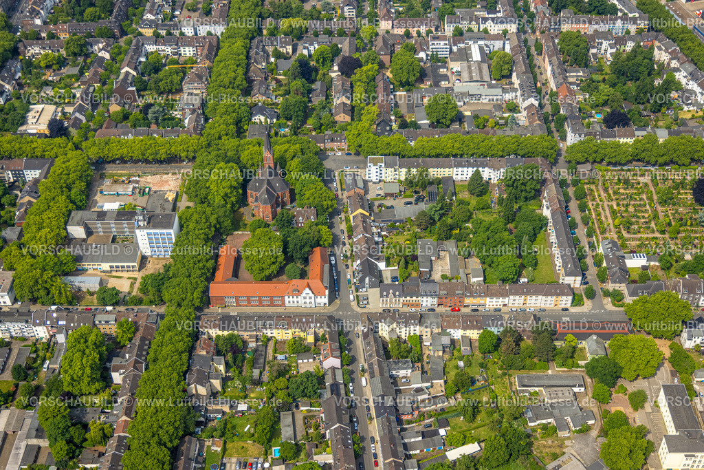 Oberhausen250515446 | Luftbild, evang. Lutherkirche Sophien-Kirchengemeinde, evang. Falkenstein-Schule, Baustelle Bertha-von-Suttner-Gymnasium, quadratisches Straßenraster, grüne Bäume, Oberhausen, Ruhrgebiet, Nordrhein-Westfalen, Deutschland