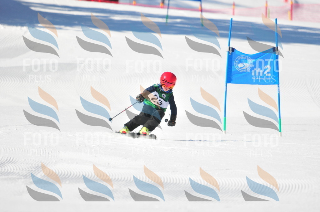 C1971 | holidayphoto