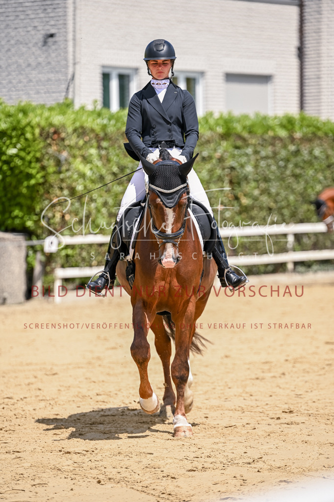 Schugtsche-Aluta25-48.Reitpferfdeprf.-254 | Schugtsche Fotografie - Realisiert mit Pictrs.com