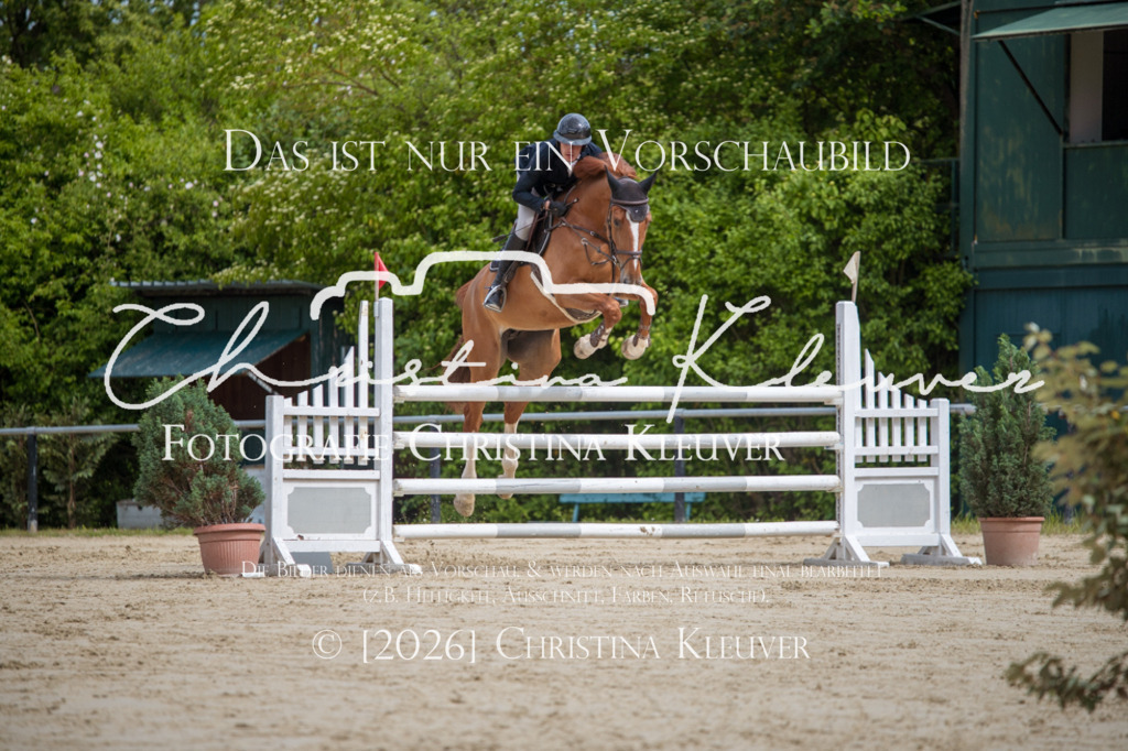 DSC_6132 | Christina-Kleuver
