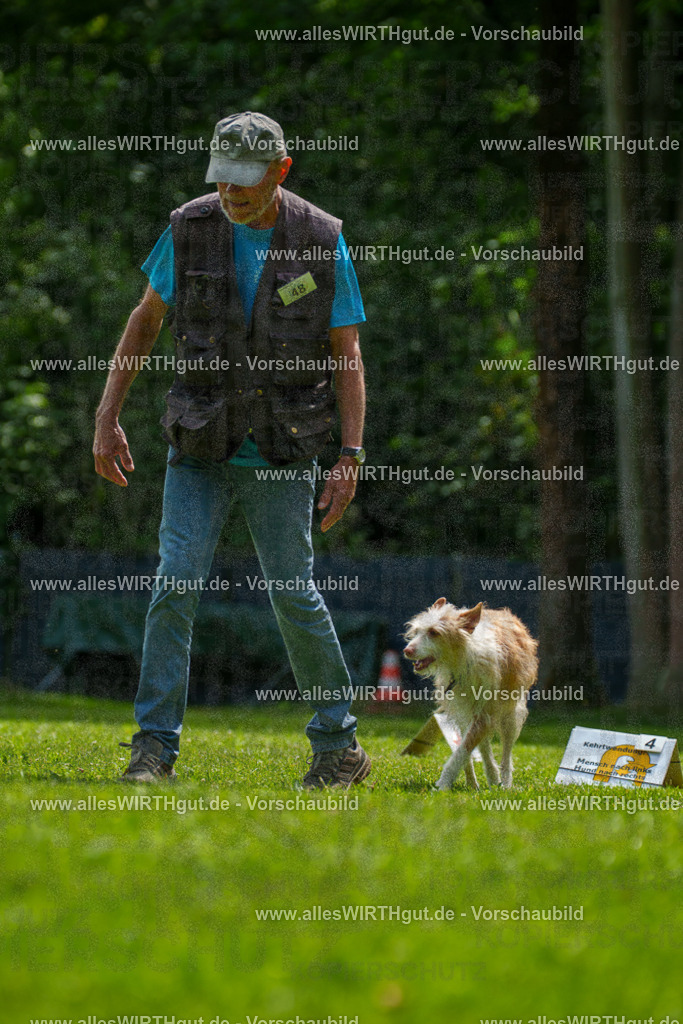 @allesWIRTHgut_Tierfotografie - www.allesWIRTHgut.de - 7R505526 | Professionelle Tierfotografie in Mönchengladbach von Daniel Wirth (allesWIRTHgut). Liebevolle & natürliche Bilder von Hunden & Katzen für unvergessliche Erinnerungen.