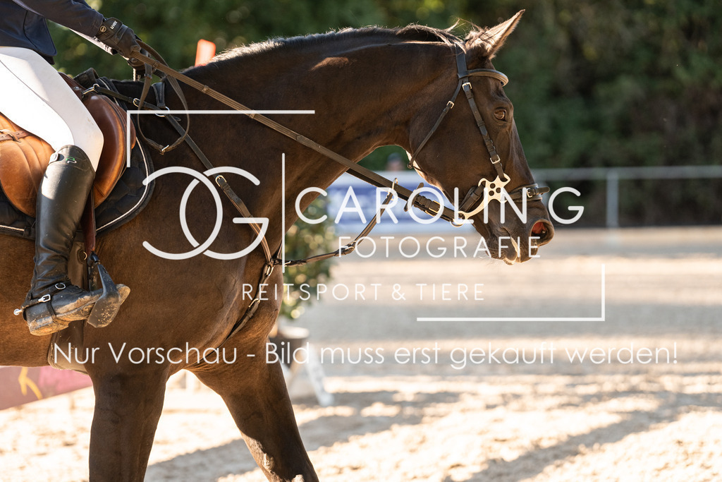 DSC04528 | Carolin Gieschke