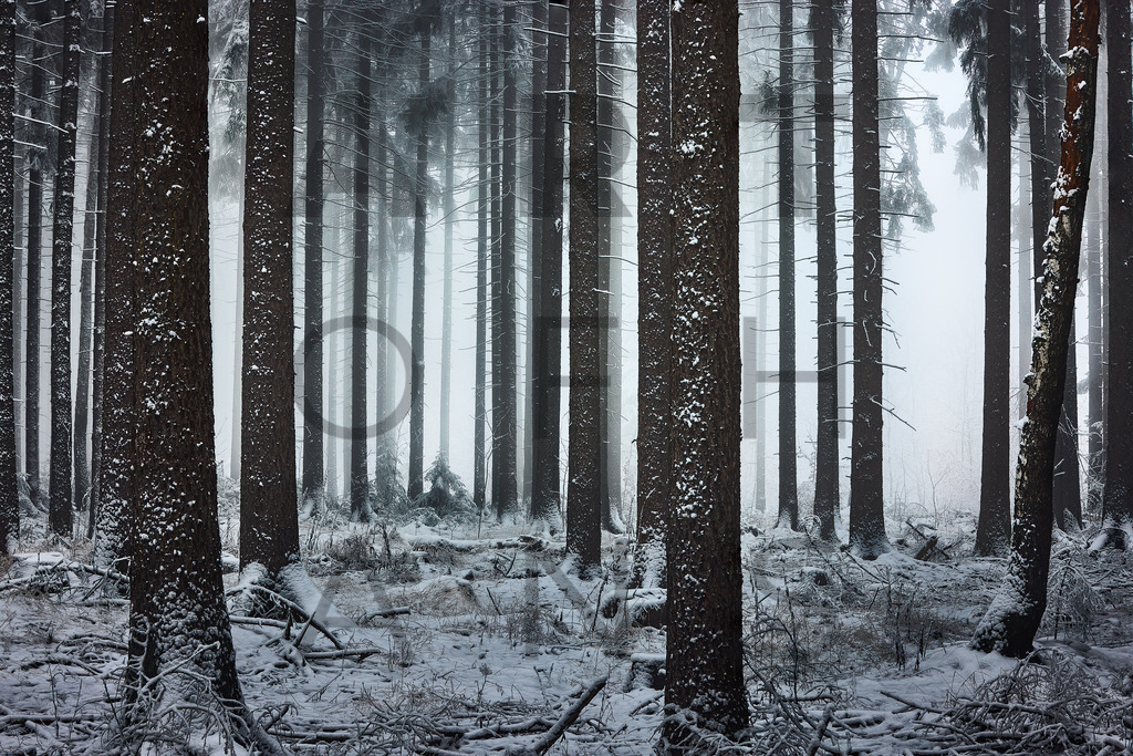 Ein Hans Fineart Original | Entdecke die Kunst von Hans Fineart - Fotografien für dein Zuhause. Verwandle deine Wände mit einzigartigen Kunstwerken und bringe die Schönheit der Welt in dein Leben. Bestelle jetzt und schaffe einen Ort der Inspiration und Eleganz.