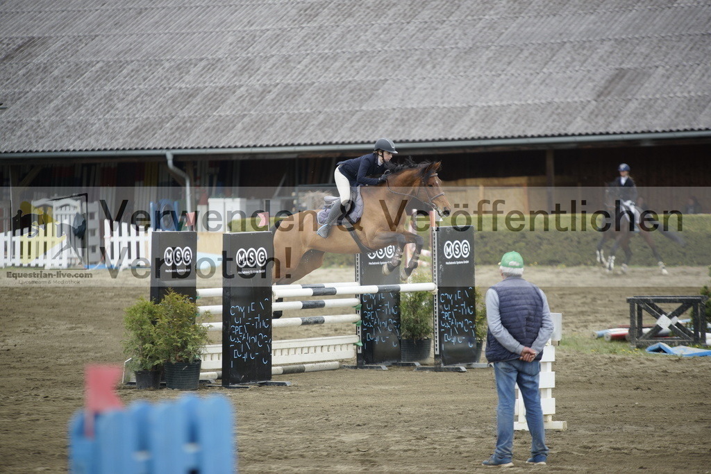 _DSC7381 | equestrian-live-com