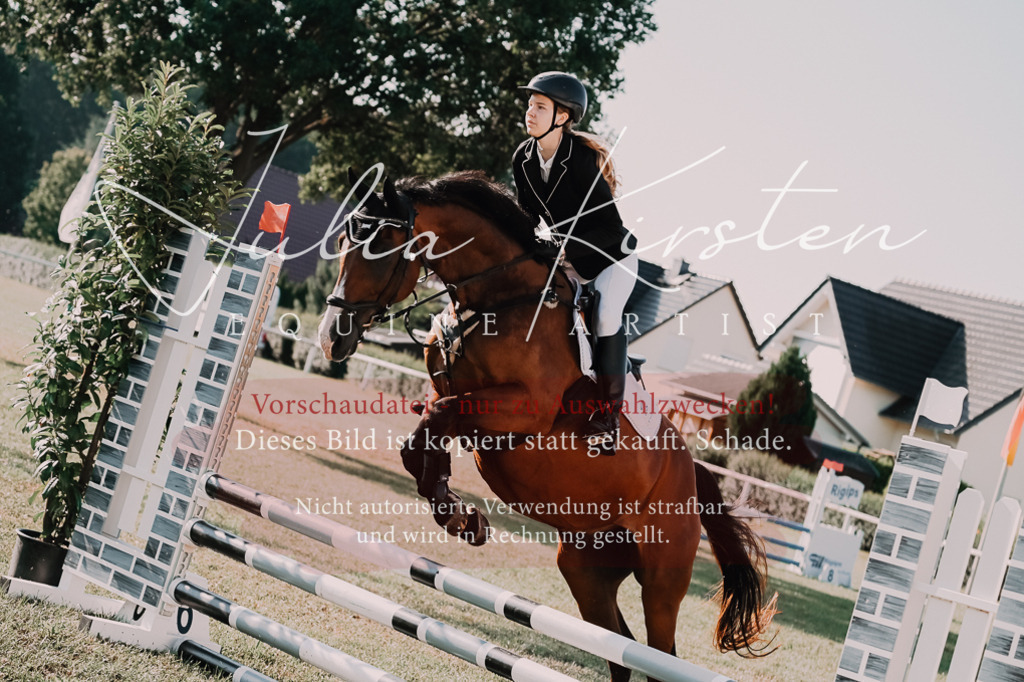 DSC_4543 | Pferde- und Turnierfotografie in Westsachsen. Pferdeportraits, Auftragszeichnungen und intuitive Kunst.