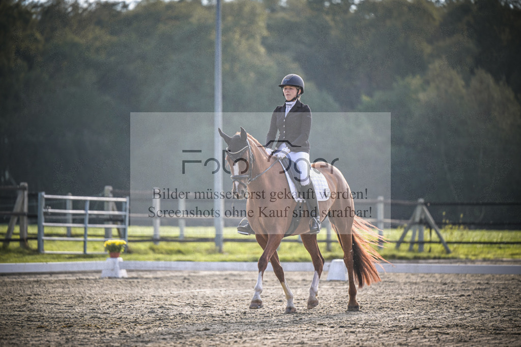DOS_3448 | Entdecke hochwertige Reitturnierfotos von Foto Oger. Professionell, emotional und authentisch – jetzt Lieblingsmomente im Shop bestellen.Deutschlandweite Turnierfotografie. - Realisiert mit Pictrs.com