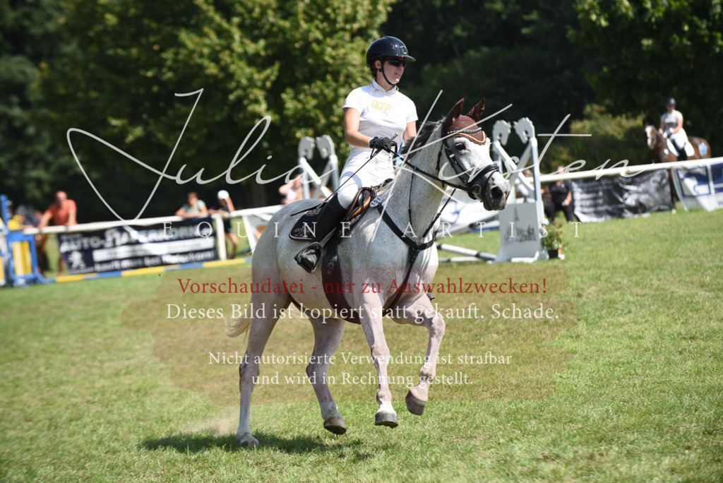 DSC_0181 | Pferde- und Turnierfotografie in Westsachsen. Pferdeportraits, Auftragszeichnungen und intuitive Kunst.