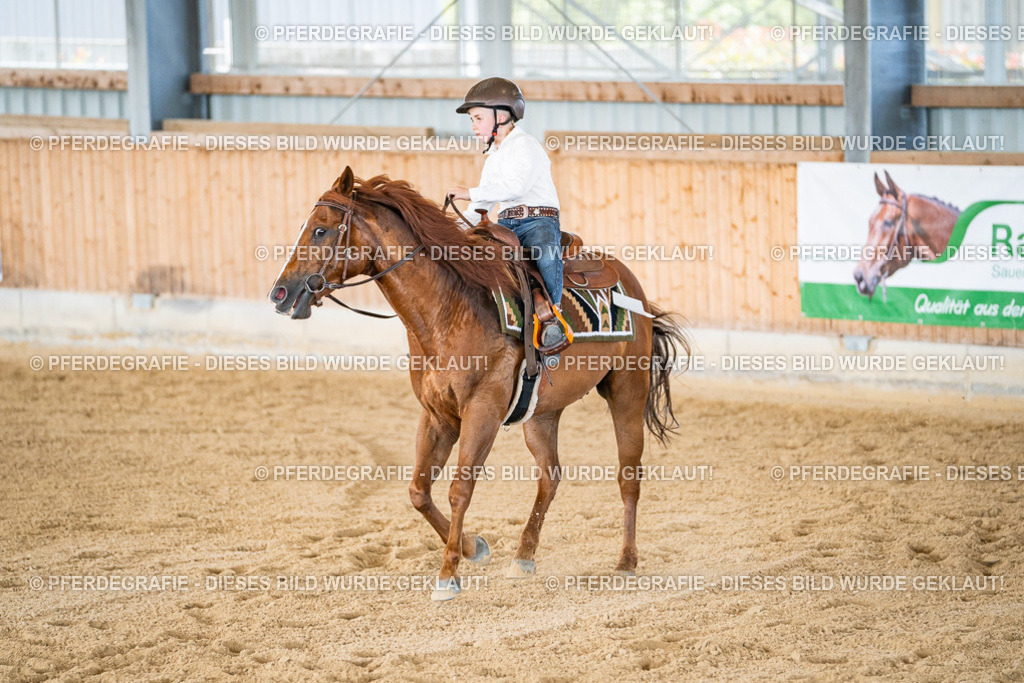 DSC03147 | Pferdegrafie