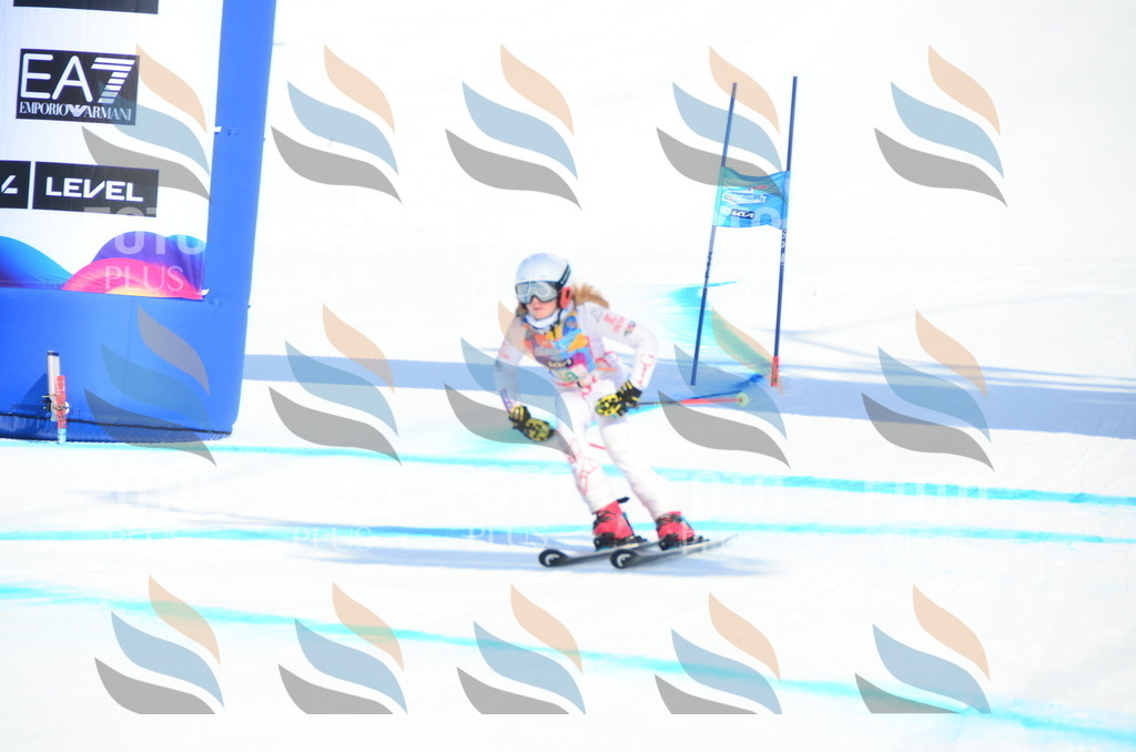 DSC_0386 | holidayphoto