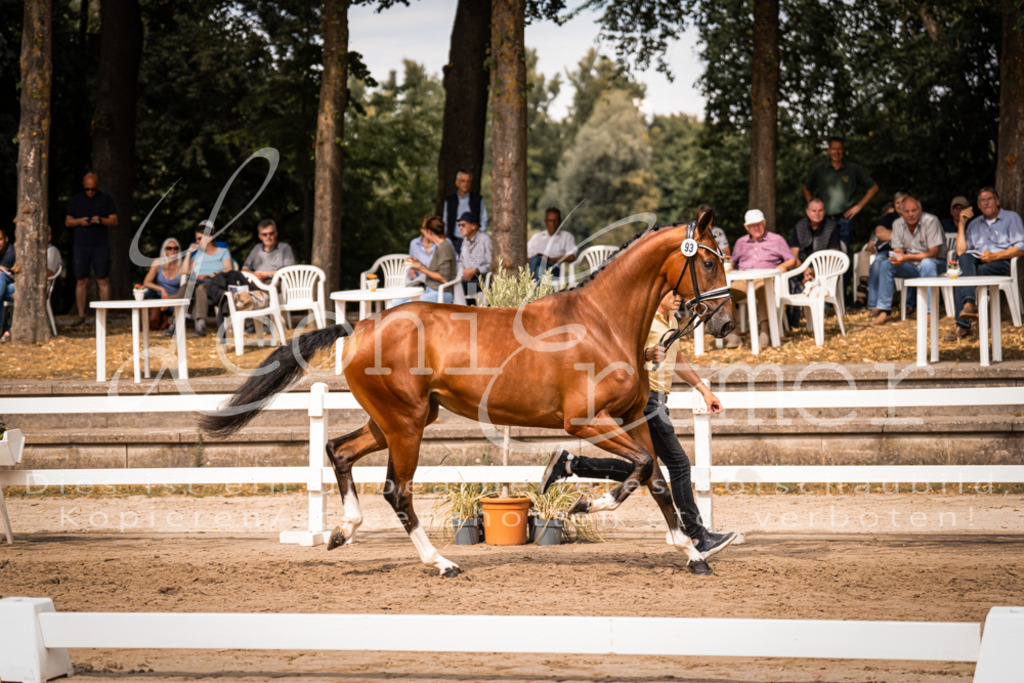 6.Fr00122 | Leoni Ertmer Photography - Realisiert mit Pictrs.com