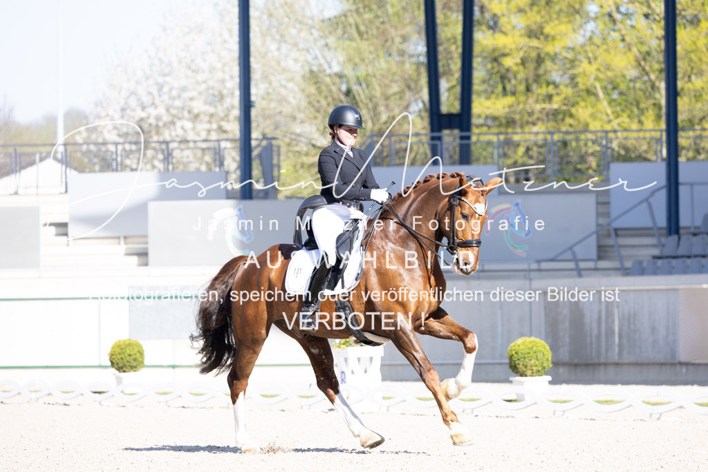 126A1247 | jasminmetznerfotografie