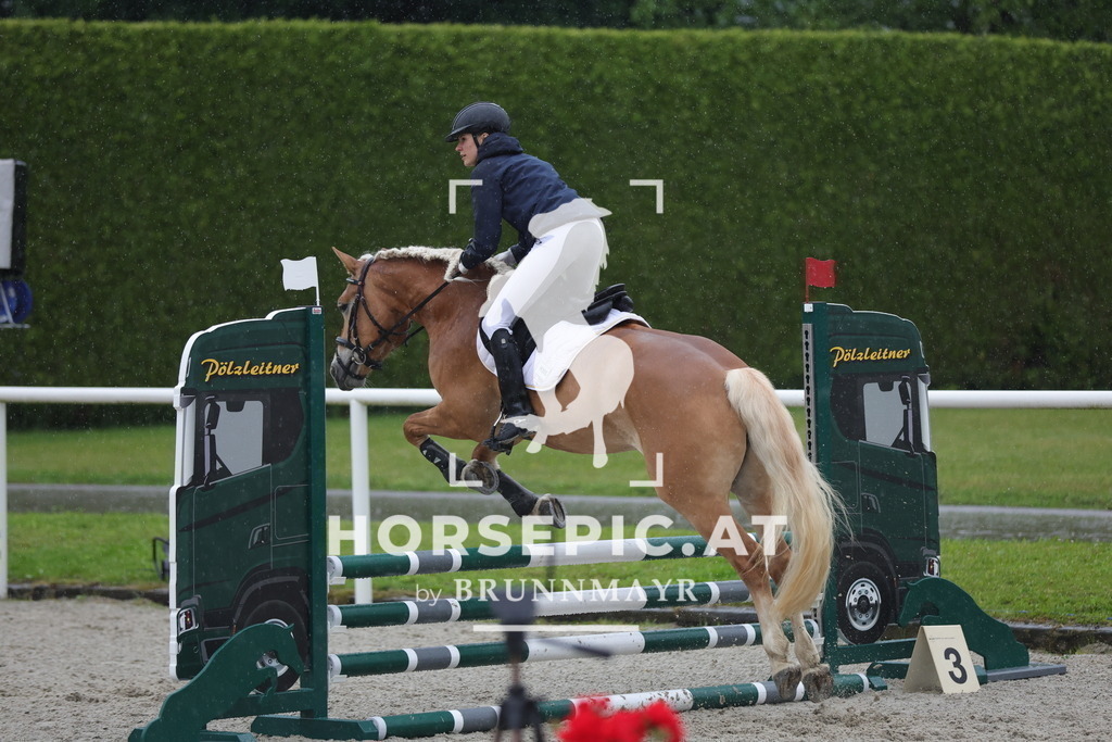 0P6A7633 | Willkommen bei Brunnmayr - Design & Fotografie – Ihrem Spezialisten für Reitturniere und Pferdeveranstaltungen in Oberösterreich, Salzburg und Bayern! Seit über 17 Jahren sind wir leidenschaftlich dabei.