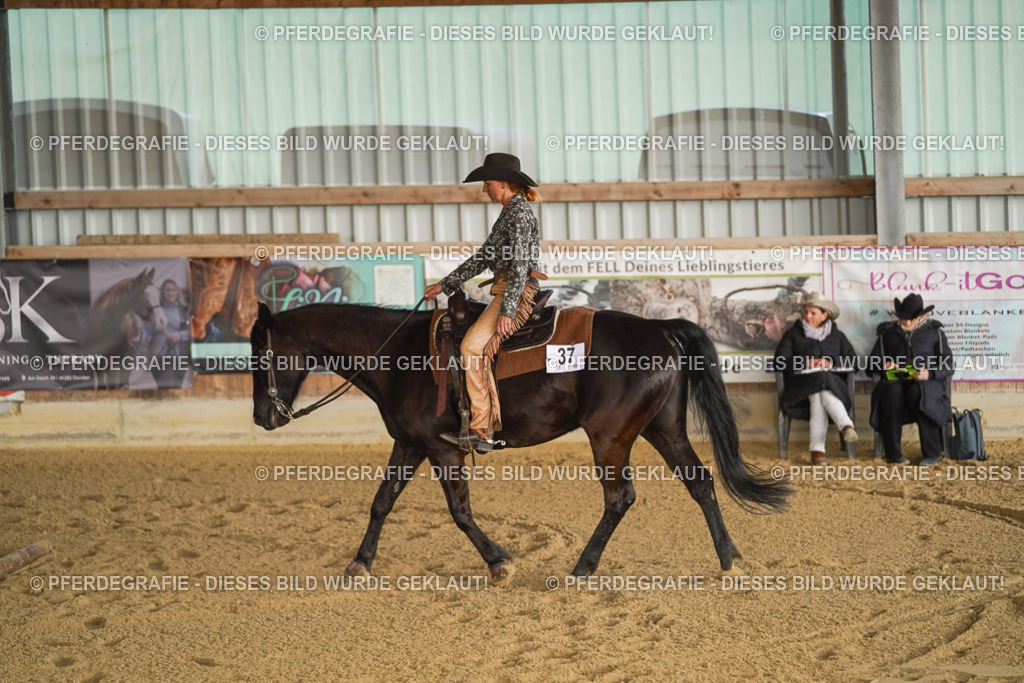 DSC01953 | Pferdegrafie