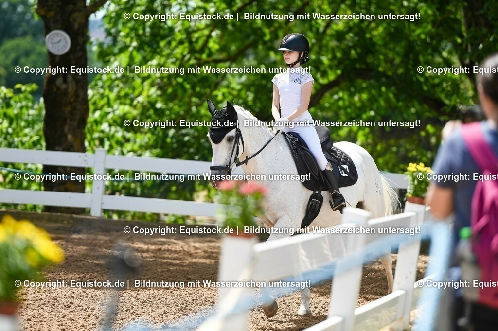 20230715_09_Dressur-WB_0030 | equistock