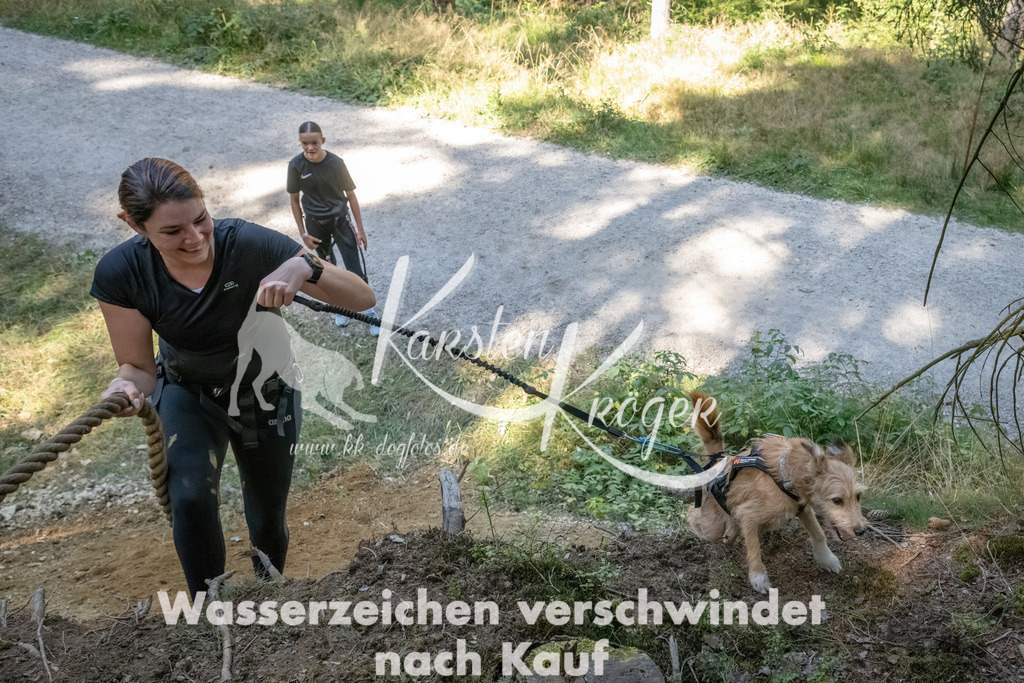 1221_ZZ94100 | kk-dogfotos
