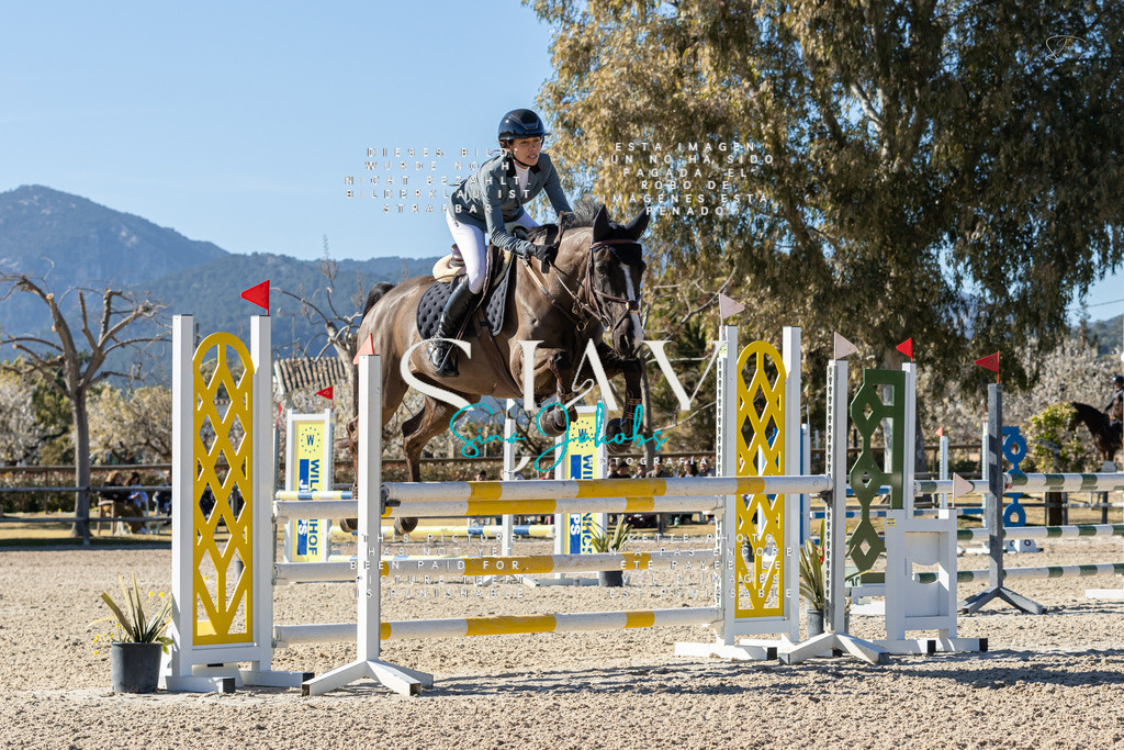 IMG_1544 | s-jay-photography - Realisiert mit Pictrs.com