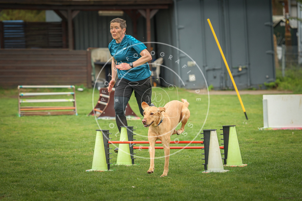 Pfotenfotografie_0L8A0582 | Hundefotografie, Tierfotograf, Pfotenfotografie, Fotoshooting Hund, Hunde Portrait, Hundesport, Hundeportraits, Heideshooting, Hunde, Sportfotograf, Hundefotograf, Turnierhundsport, THS,  - Realisiert mit Pictrs.com
