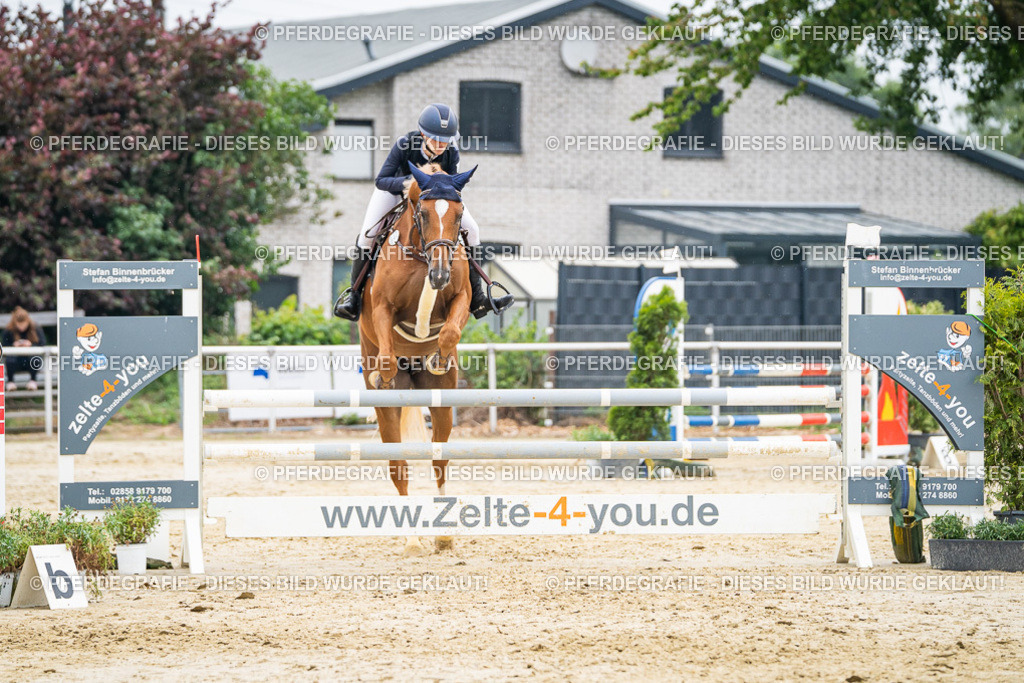 DSC00443 | Pferdegrafie