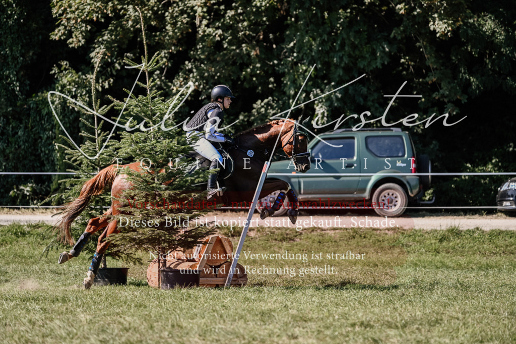 DSC_3154 | Pferde- und Turnierfotografie in Westsachsen. Pferdeportraits, Auftragszeichnungen und intuitive Kunst.