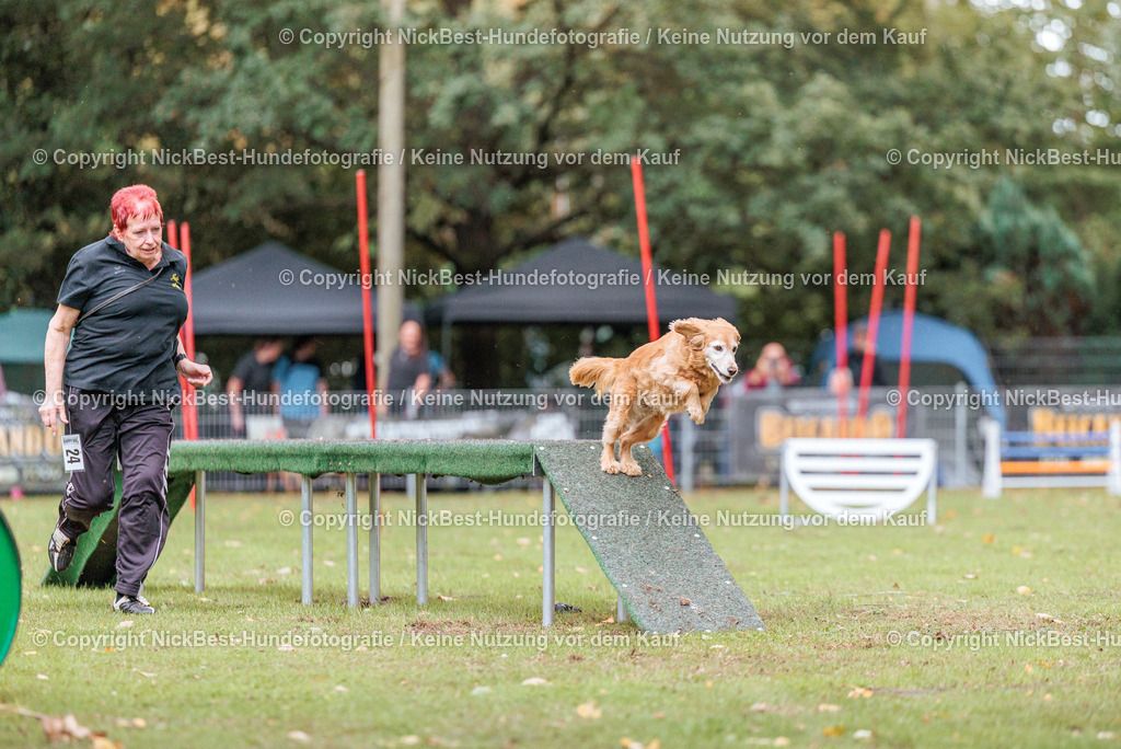 THS-HSV-Blumenthal-2026-Nickbest-Hundefotografie-4257 | Dein Hund! Dein Moment! Deine Erinnerungen! Hundefotografie in Bremen Blumenthal. Ich fange die besonderen Momente deines Vierbeiners ein – ob Indoor mit Blitzanlage oder in der freien Natur. Sicher dir dein Moment und dein Termin für eure Erinnerungen.